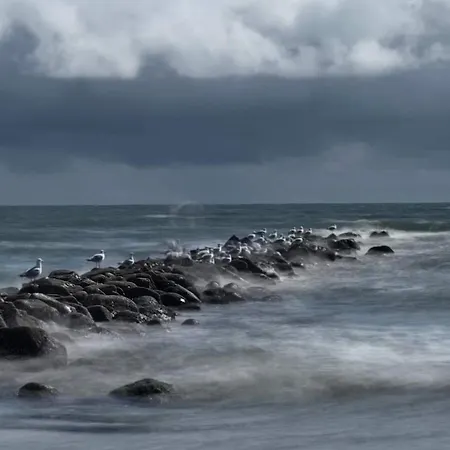 펜션 Luxury Retreat In - By Traum Blåvand